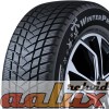 100A4946 Winterpro 2 (EVO)  