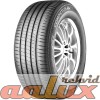  COMPETUS H/P 2  